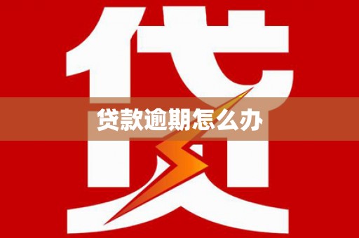 太和贷款逾期怎么办