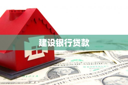 太和建设银行贷款