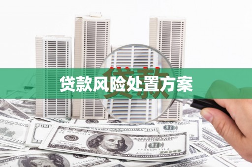 太和贷款风险处置方案
