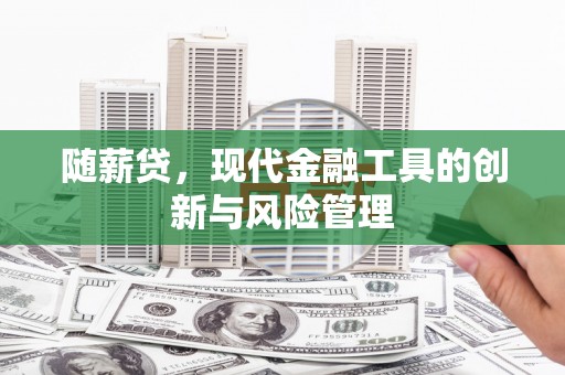 太和随薪贷，现代金融工具的创新与风险管理