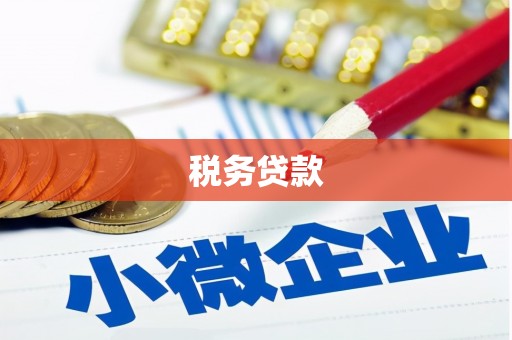 太和税务贷款