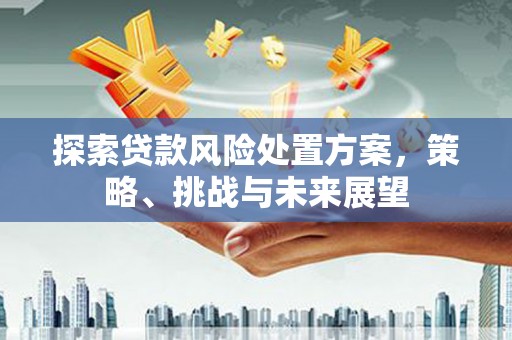 太和探索贷款风险处置方案，策略、挑战与未来展望