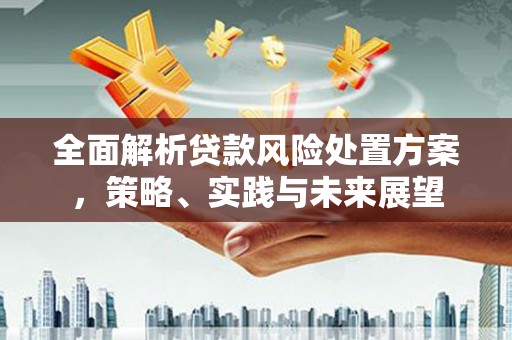 太和全面解析贷款风险处置方案，策略、实践与未来展望
