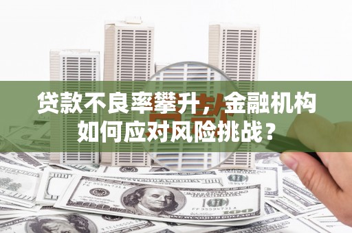 太和贷款不良率攀升，金融机构如何应对风险挑战？