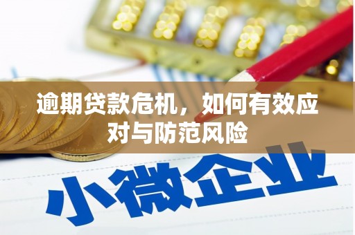 太和逾期贷款危机，如何有效应对与防范风险