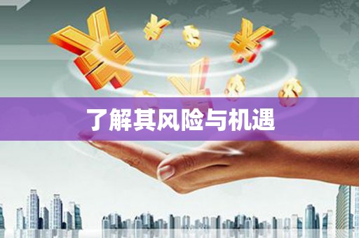 太和了解其风险与机遇