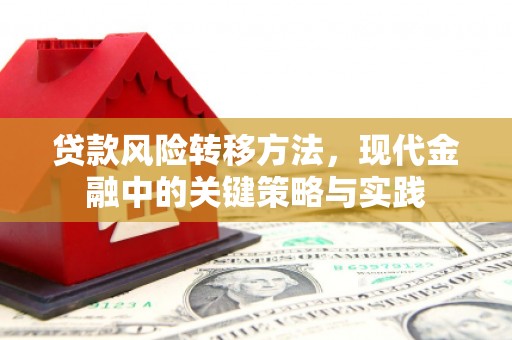 太和贷款风险转移方法，现代金融中的关键策略与实践
