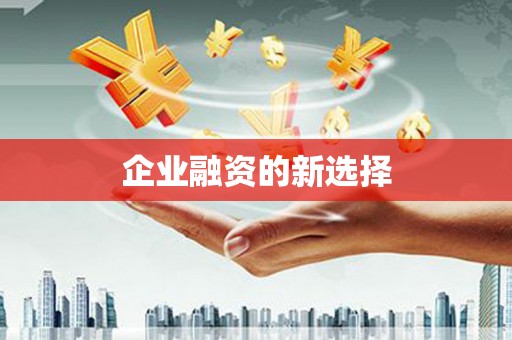 太和企业融资的新选择