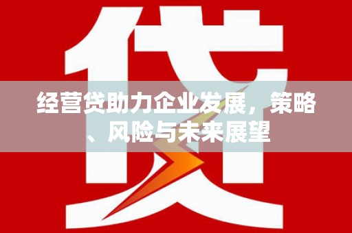 太和经营贷助力企业发展，策略、风险与未来展望