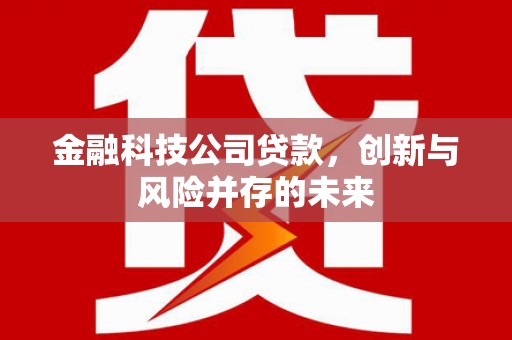 太和金融科技公司贷款，创新与风险并存的未来