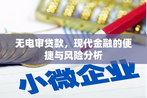 太和无电审贷款，现代金融的便捷与风险分析