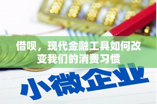 太和借呗，现代金融工具如何改变我们的消费习惯