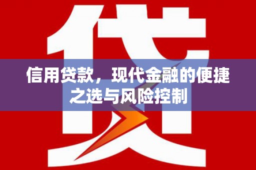 太和信用贷款，现代金融的便捷之选与风险控制