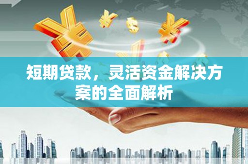 太和短期贷款，灵活资金解决方案的全面解析