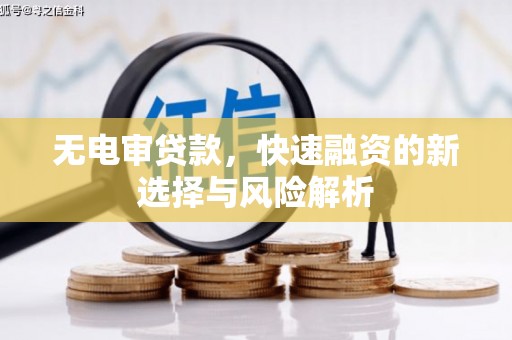 太和无电审贷款，快速融资的新选择与风险解析
