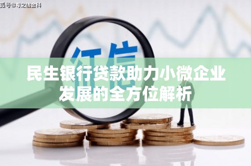 太和民生银行贷款助力小微企业发展的全方位解析