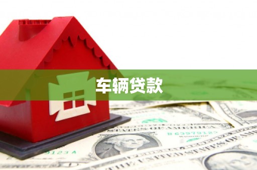 太和车辆贷款