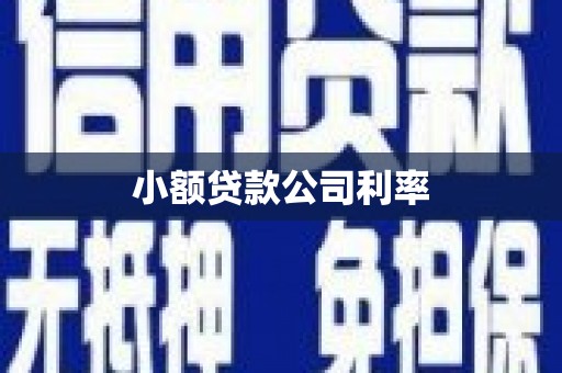 太和小额贷款公司利率