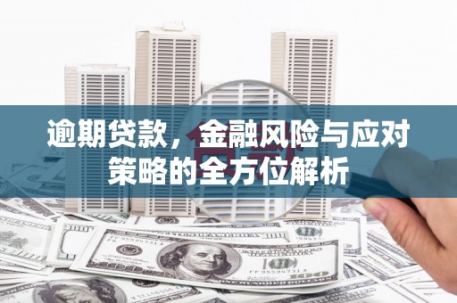 太和逾期贷款，金融风险与应对策略的全方位解析