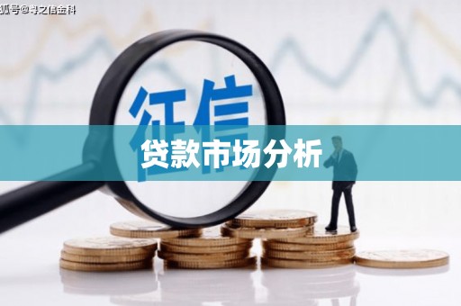 太和贷款市场分析