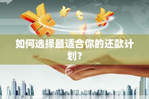 太和如何选择最适合你的还款计划？