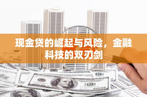 太和现金贷的崛起与风险，金融科技的双刃剑