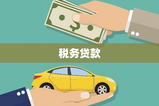 太和税务贷款