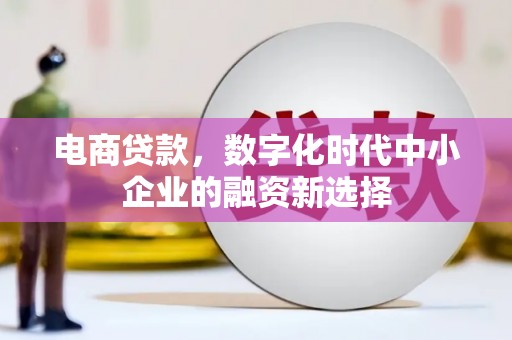太和电商贷款，数字化时代中小企业的融资新选择
