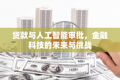 太和贷款与人工智能审批，金融科技的未来与挑战