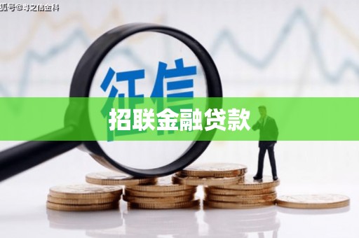 太和招联金融贷款