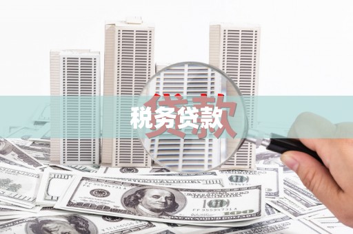 太和税务贷款