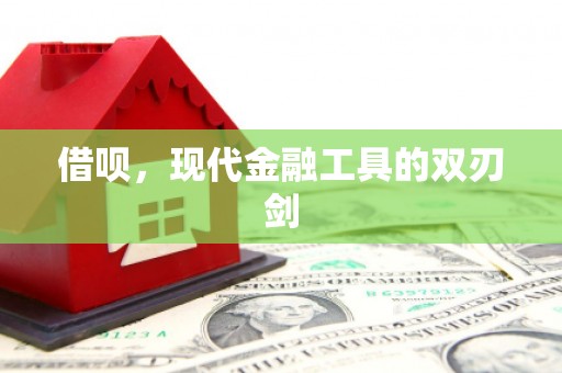 太和借呗，现代金融工具的双刃剑