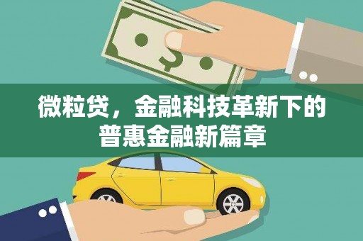 太和微粒贷，金融科技革新下的普惠金融新篇章