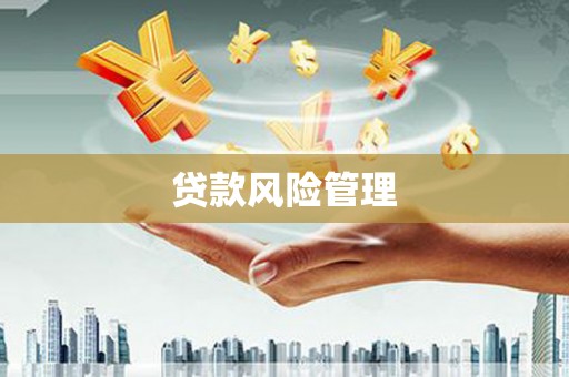 太和贷款风险管理