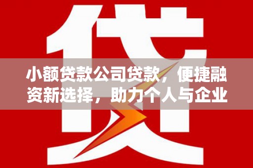 太和小额贷款公司贷款，便捷融资新选择，助力个人与企业成长