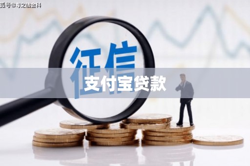 太和支付宝贷款