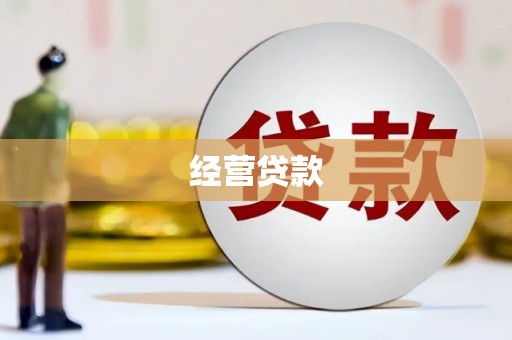 太和经营贷款