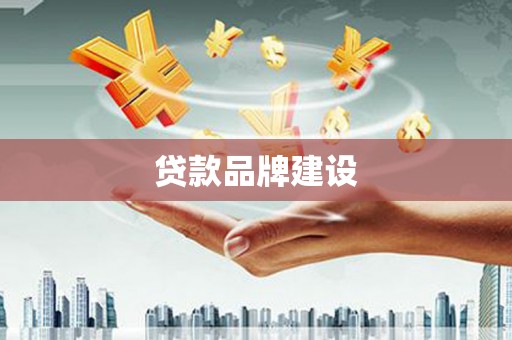 太和贷款品牌建设
