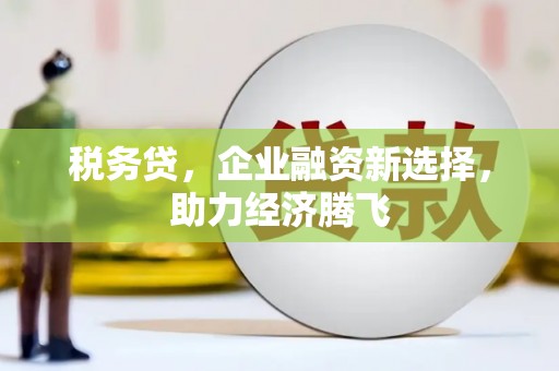 太和税务贷，企业融资新选择，助力经济腾飞