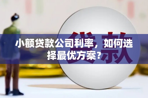 太和小额贷款公司利率，如何选择最优方案？