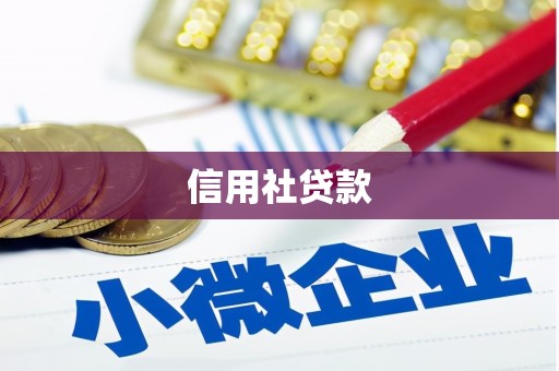 太和信用社贷款