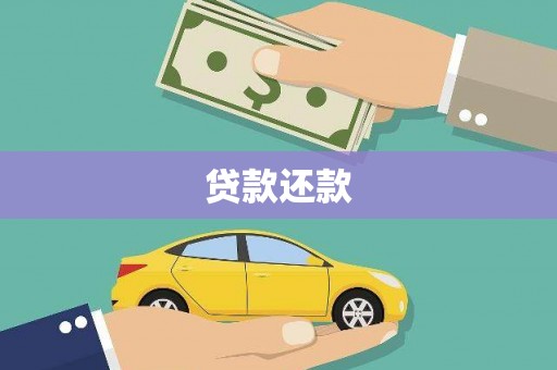 太和贷款还款