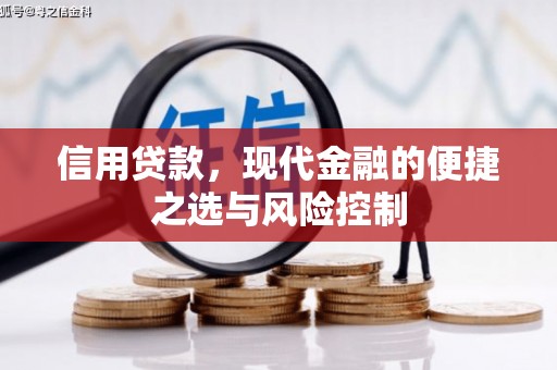 太和信用贷款，现代金融的便捷之选与风险控制