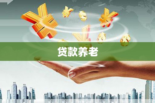 太和贷款养老