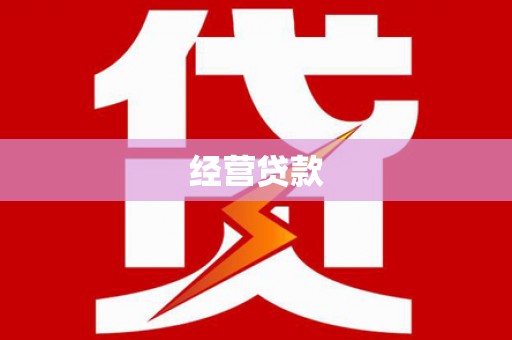 太和经营贷款