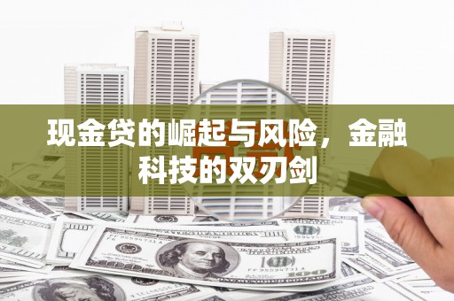 太和现金贷的崛起与风险，金融科技的双刃剑