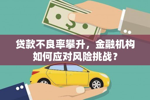 太和贷款不良率攀升，金融机构如何应对风险挑战？