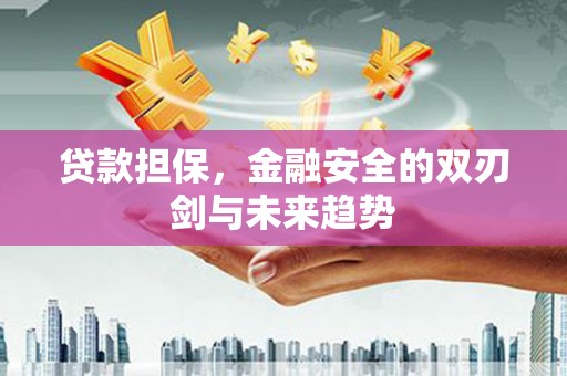 太和贷款担保，金融安全的双刃剑与未来趋势