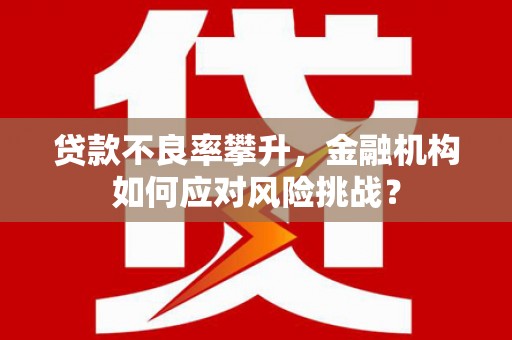 太和贷款不良率攀升，金融机构如何应对风险挑战？