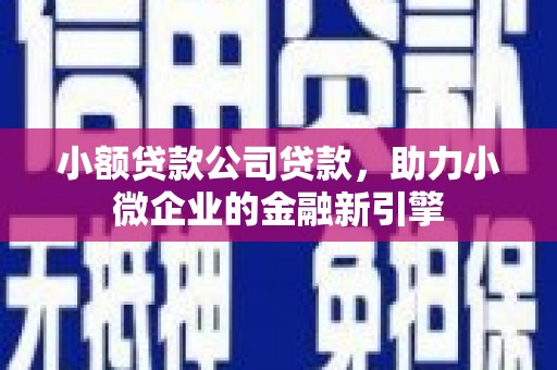 太和小额贷款公司贷款，助力小微企业的金融新引擎